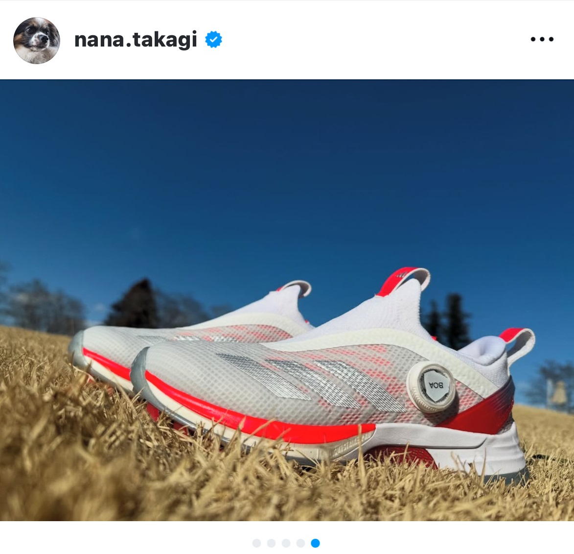 高木菜那さんのインスタグラムから
