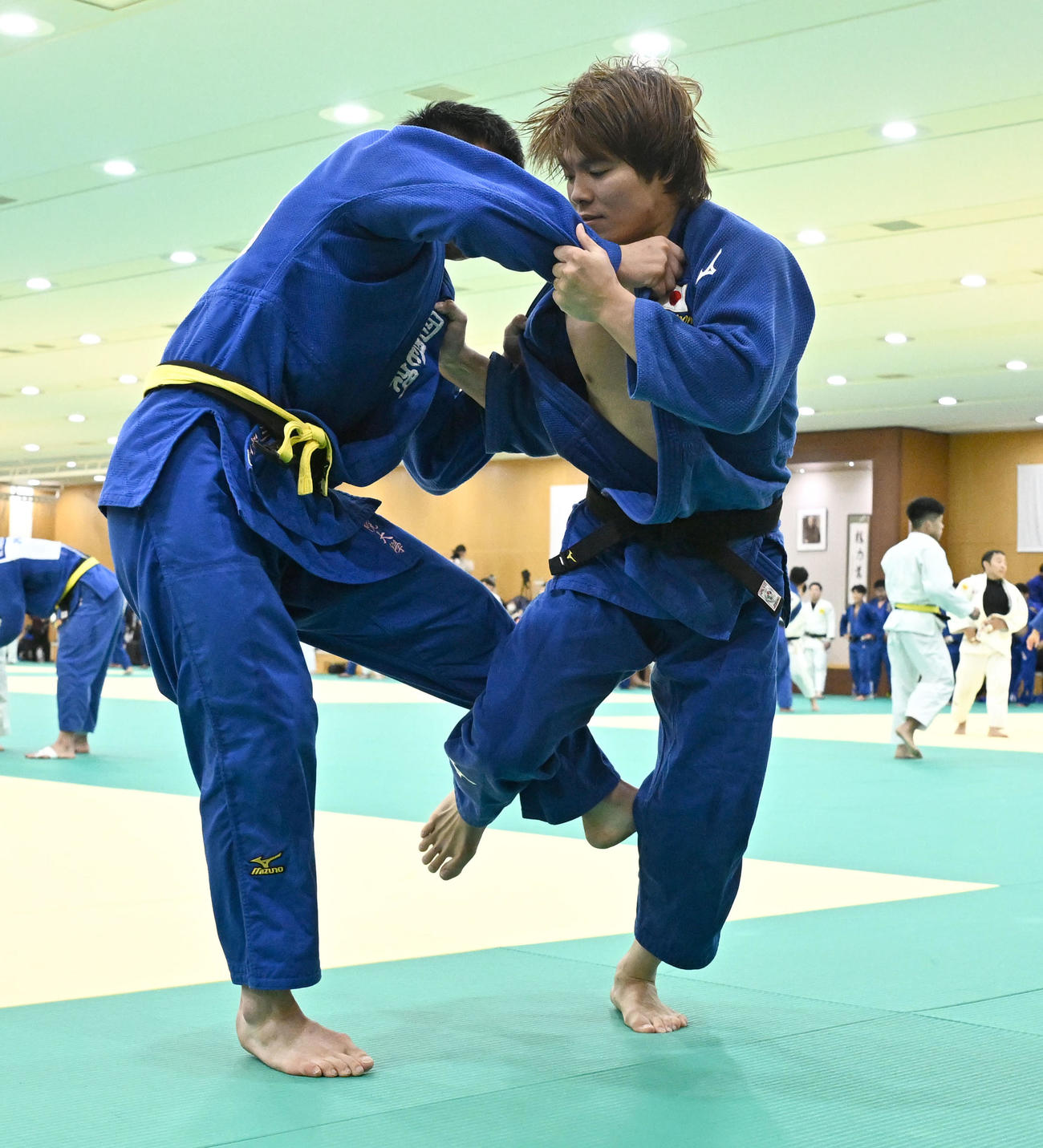 柔道全日本男子合宿で、練習を公開した阿部一二三（右）（撮影・千葉一成）
