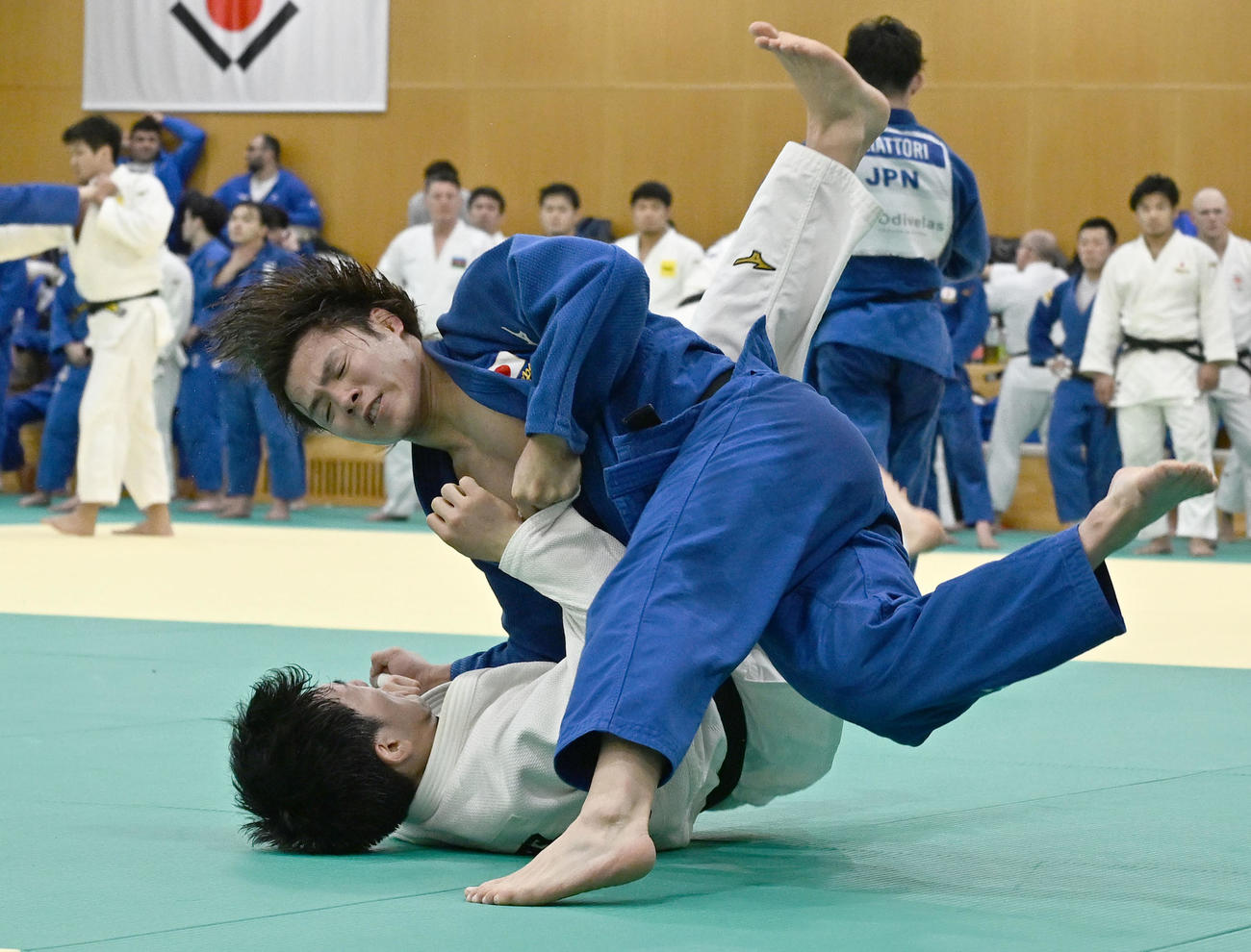 柔道全日本男子合宿で、練習を公開した阿部一二三（手前）（撮影・千葉一成）