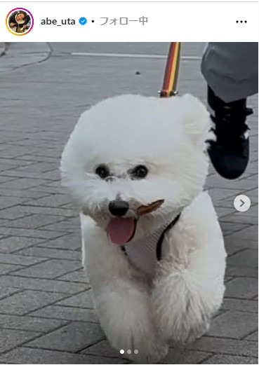 阿部詩のインスタグラムから
