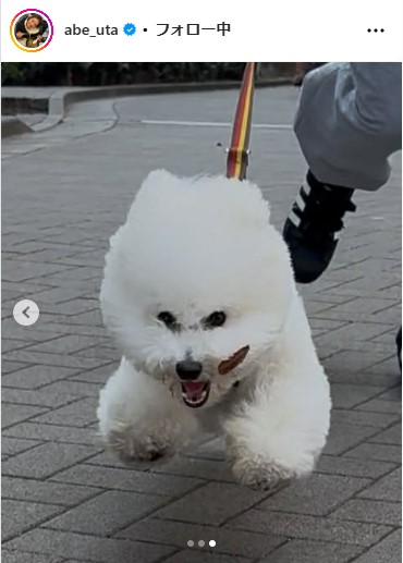 阿部詩のインスタグラムから