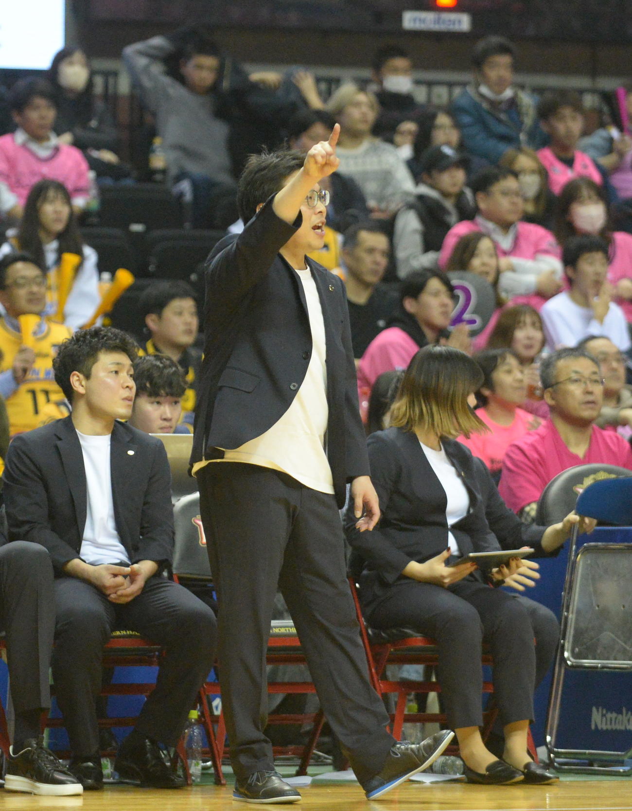 秋田対仙台　選手に指示を送るB1仙台・落合（撮影・浜本神威）