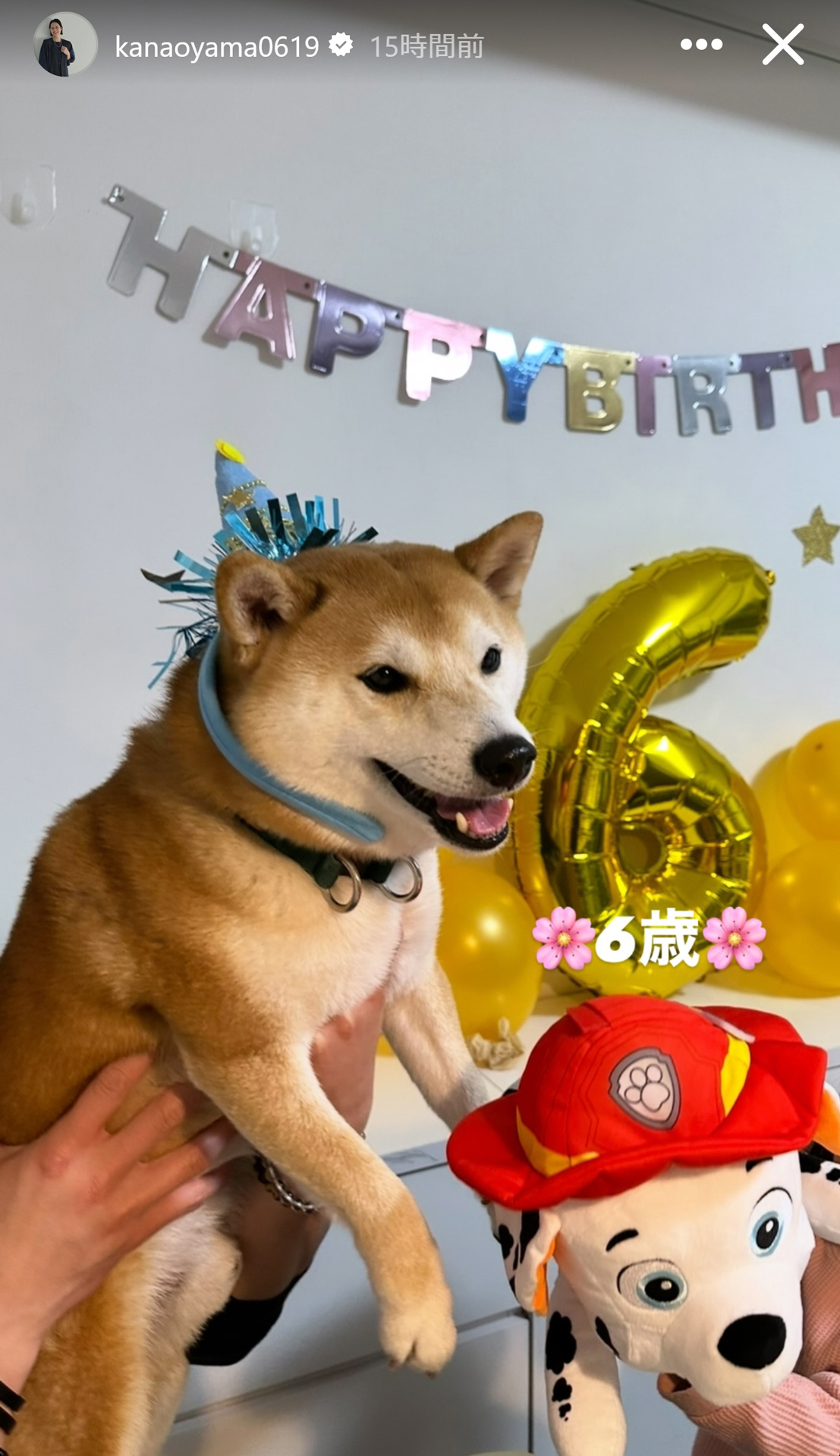大山加奈さんのストーリーズから