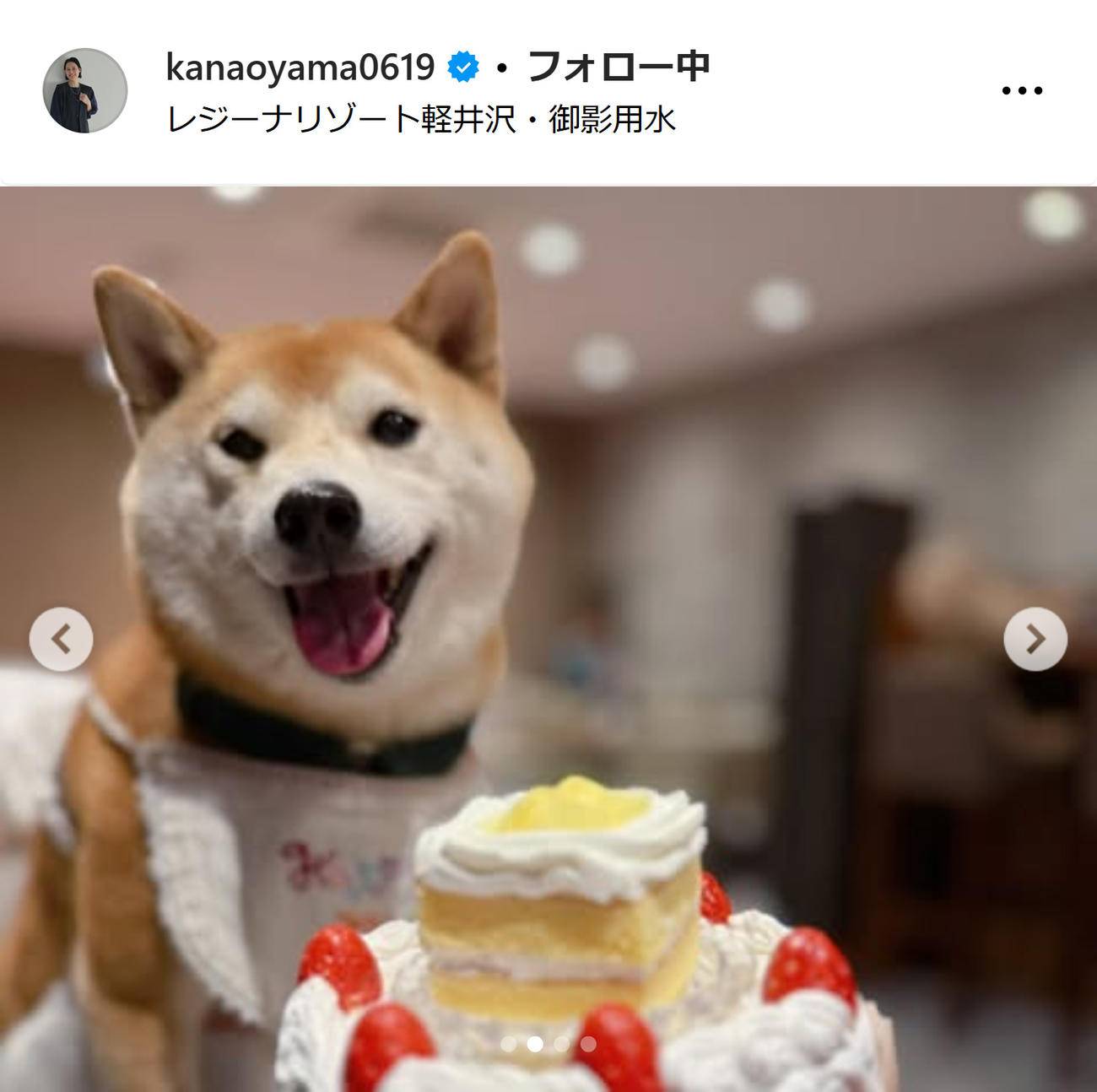 大山加奈さんのインスタグラムから