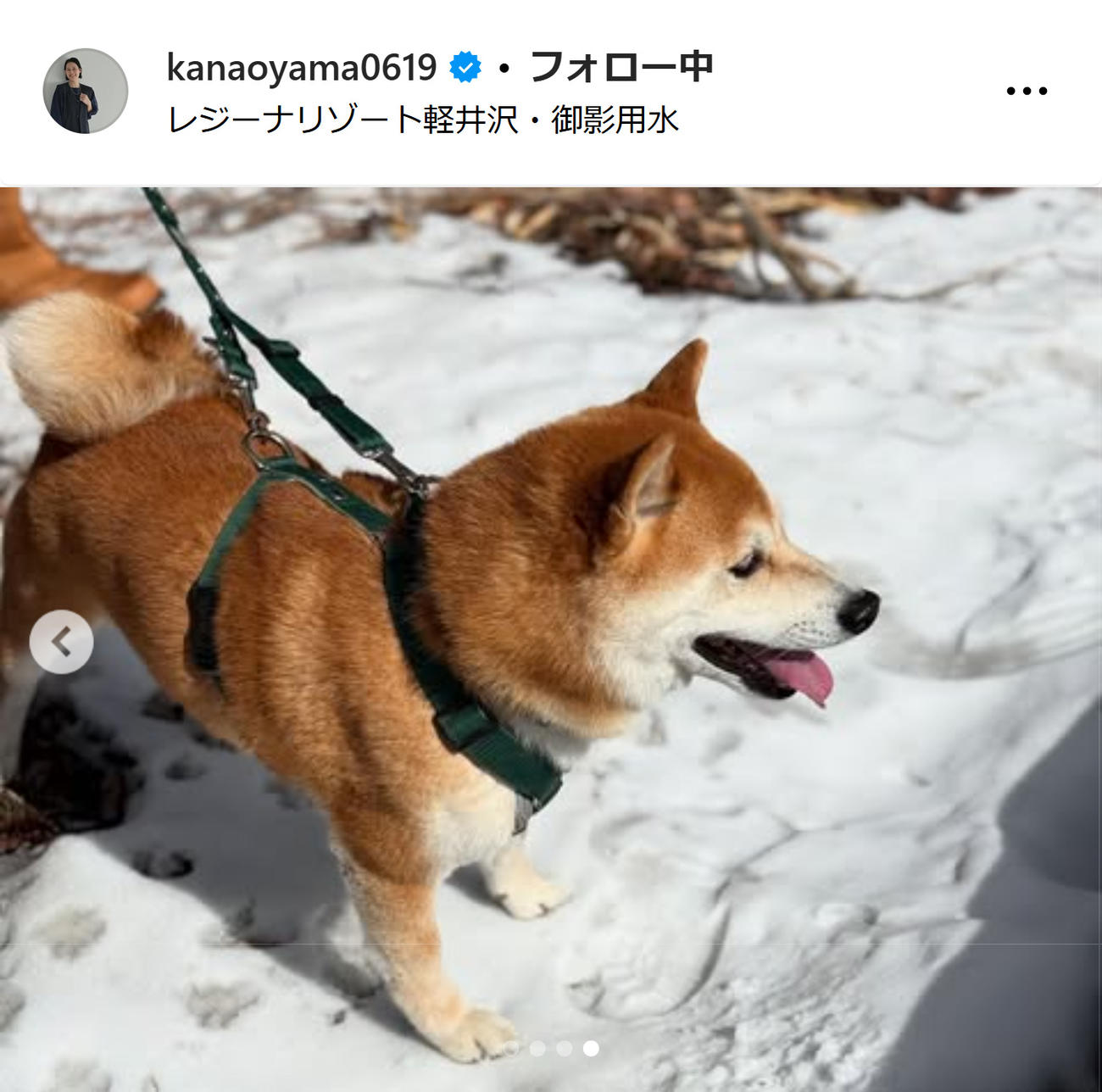 大山加奈さんのインスタグラムから