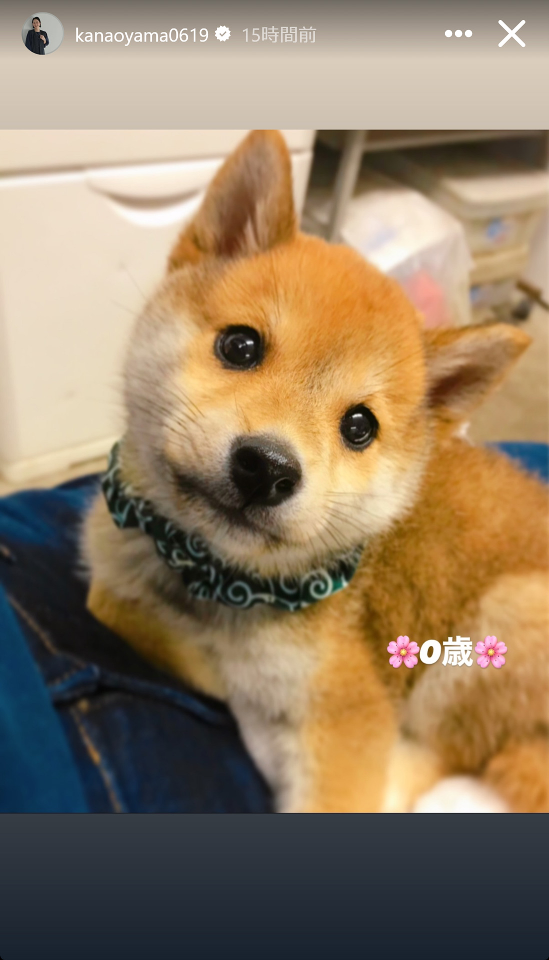 大山加奈さんのストーリーズから