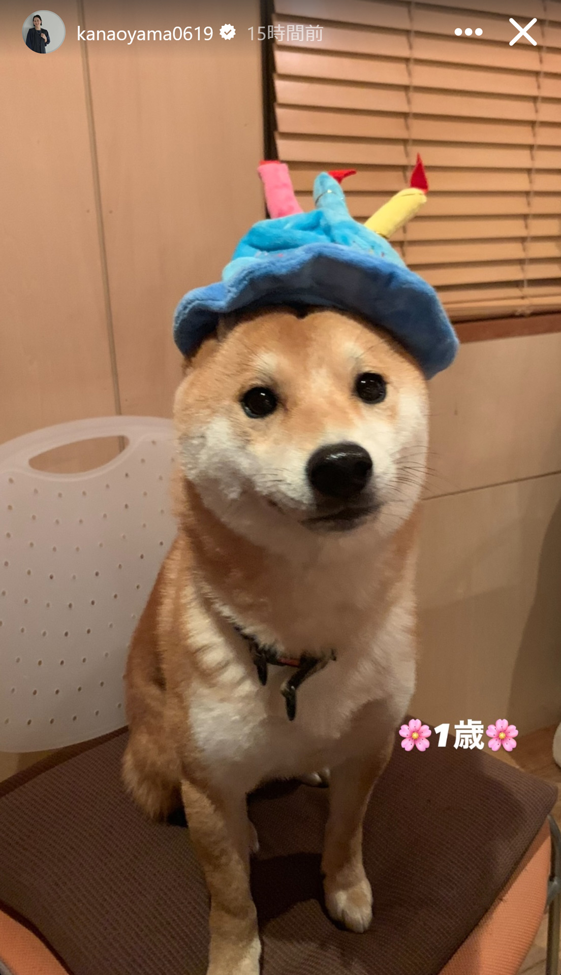 大山加奈さんのストーリーズから