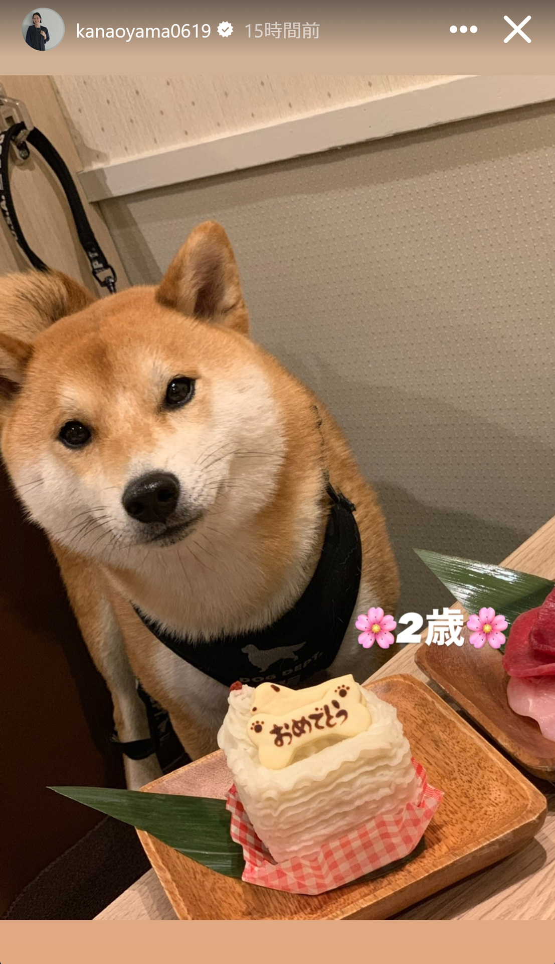 大山加奈さんのストーリーズから