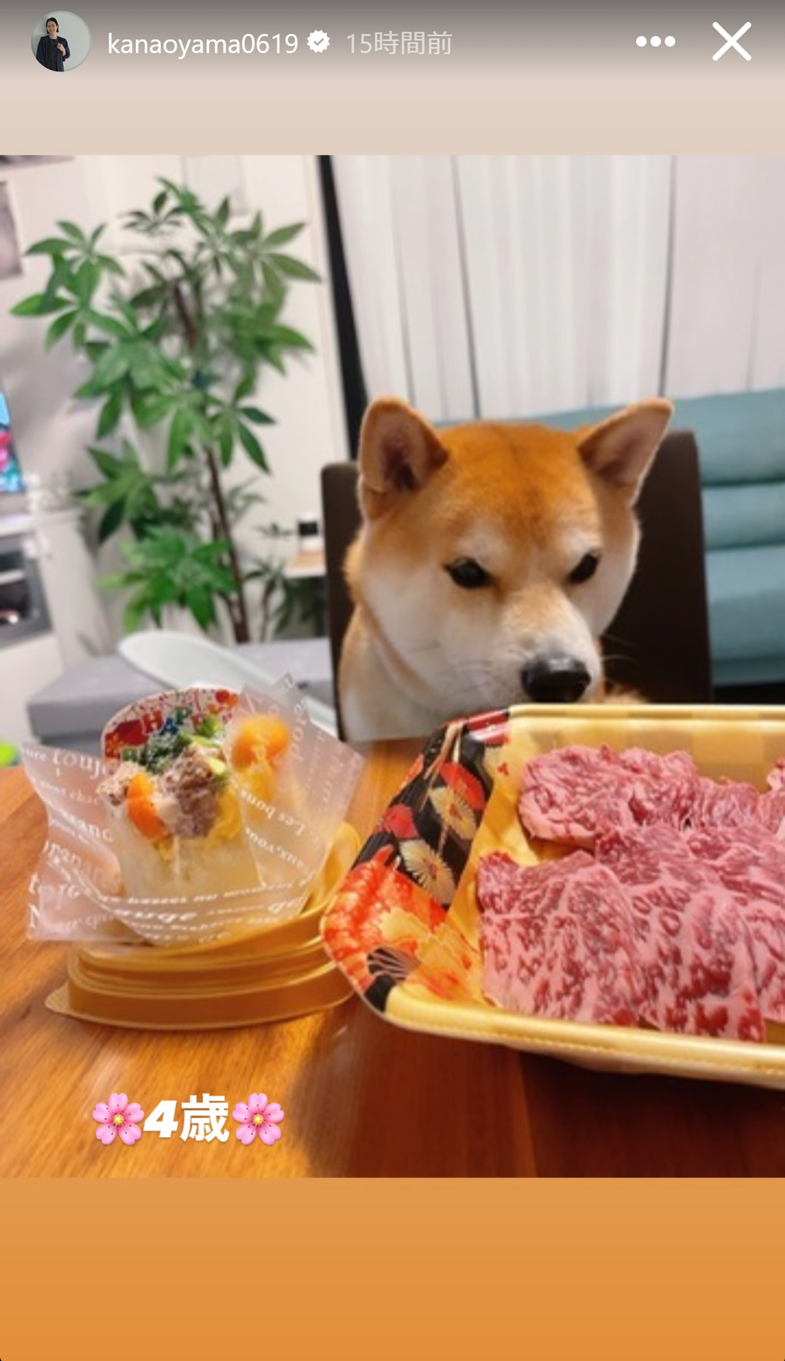 大山加奈さんのストーリーズから