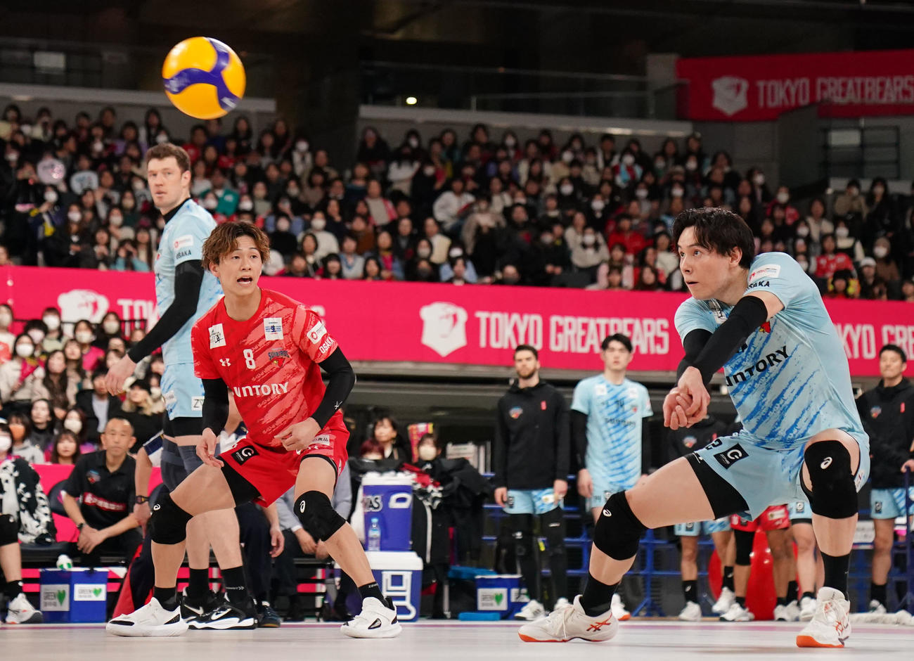 東京GB対サントリー　第1セット、ボールを拾うサントリー高橋（右）（撮影・横山健太）