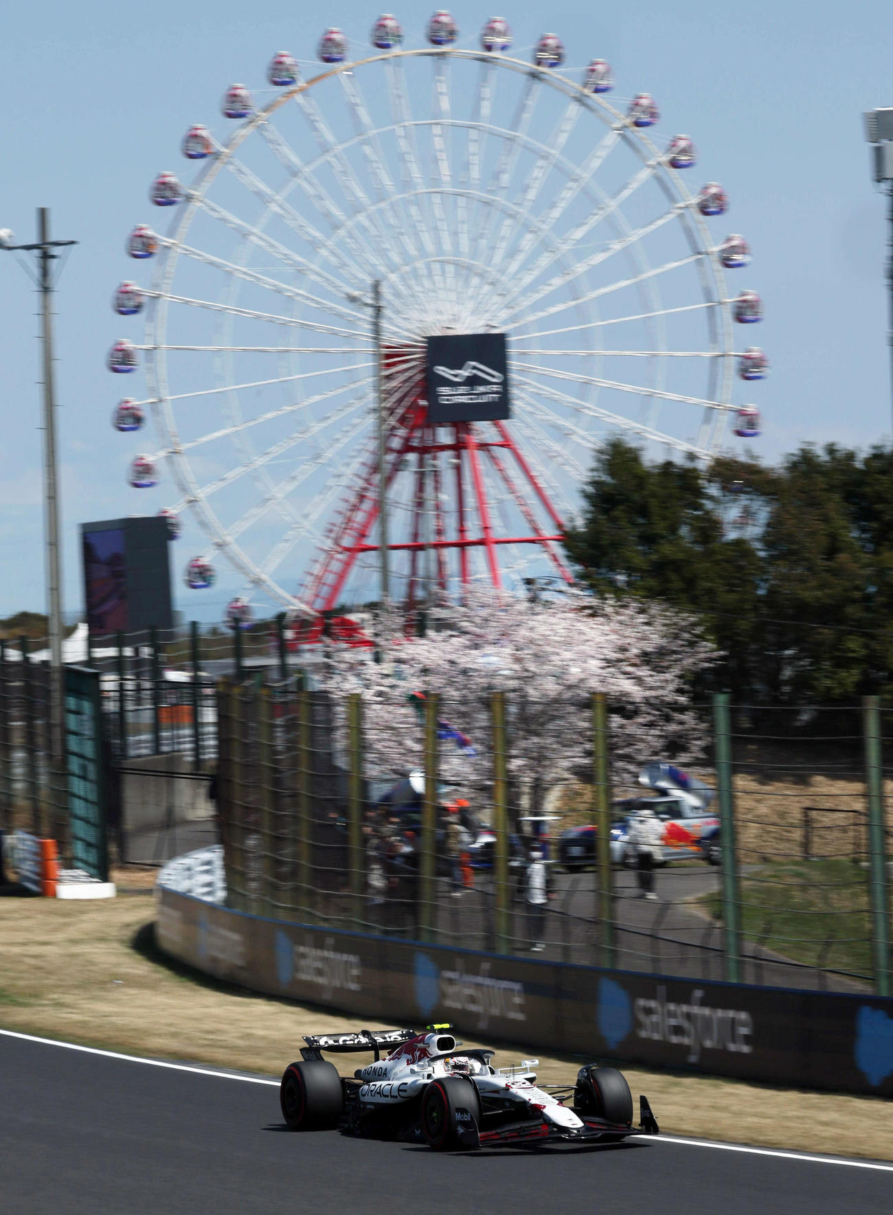 フリー走行1回目、桜と観覧車をバックに走行する角田裕毅（撮影・宮崎幸一）