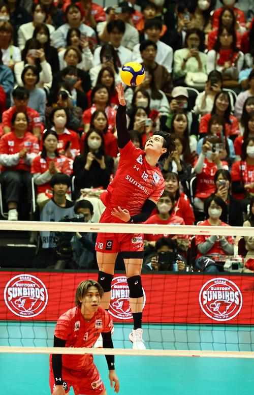 サントリー対名古屋 サーブするサントリー・高橋藍(撮影・上田博志)
