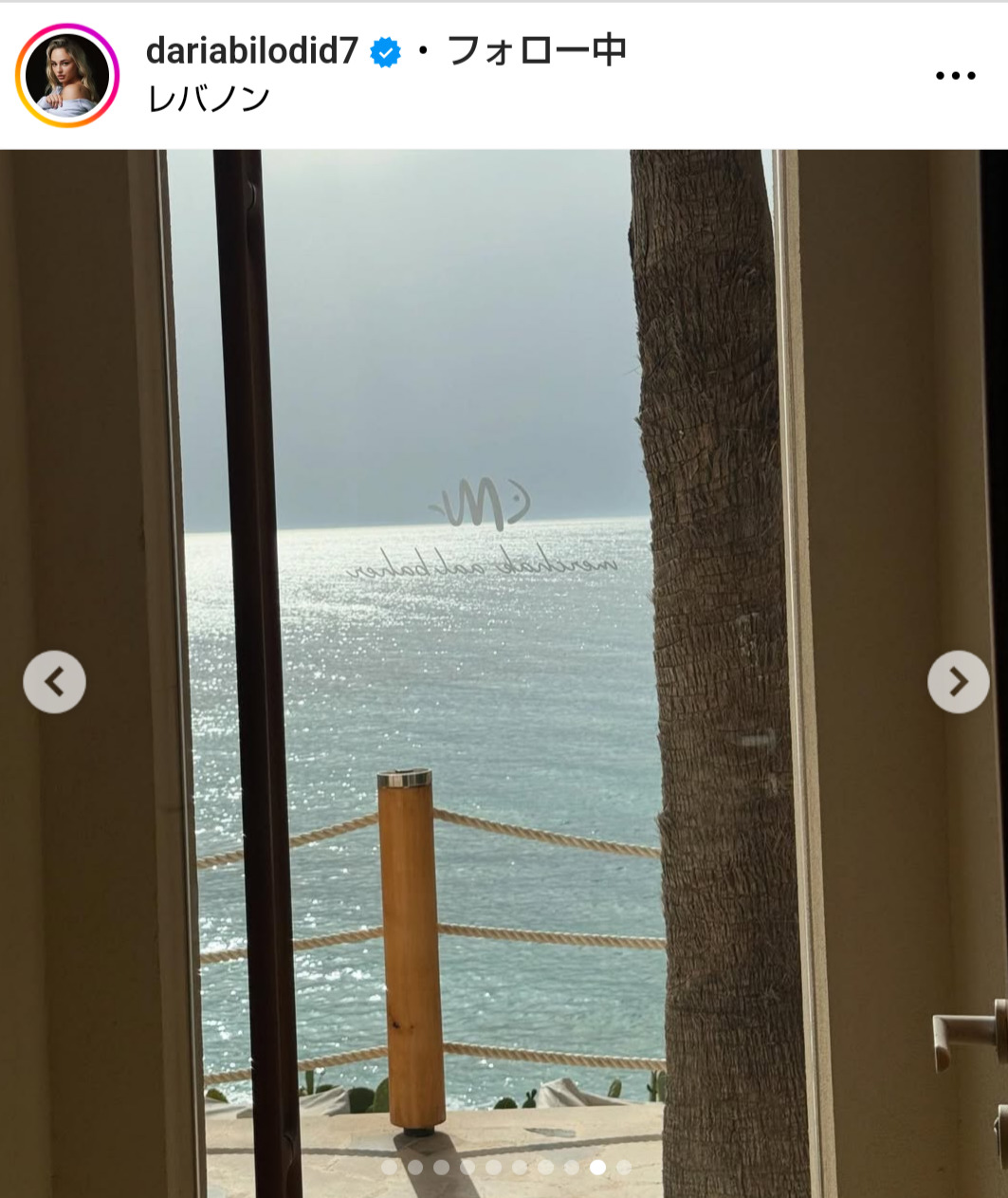 ダリア・ビロディドのインスタグラムから