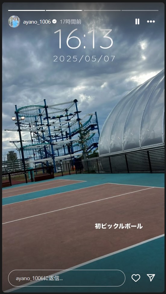 園田彩乃のストーリーズから
