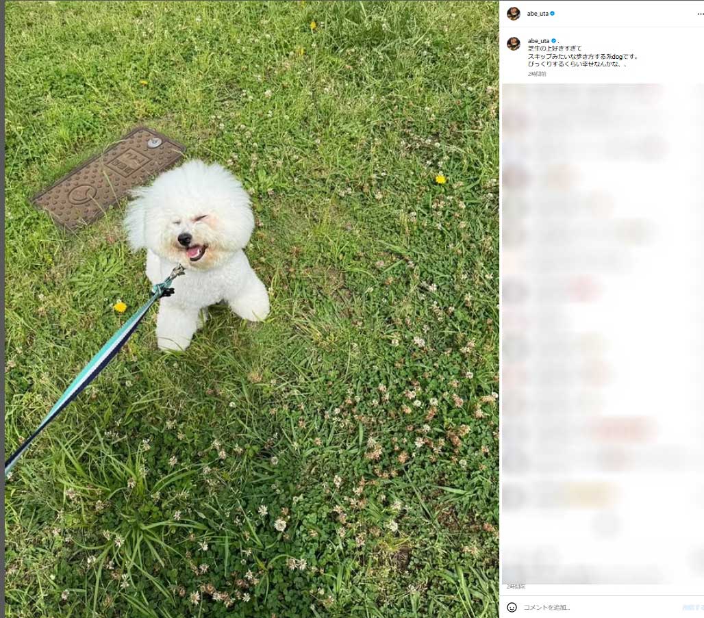 「芝生の上好きすぎて、スキップみたいな歩き方する系dog」というポエム君（阿部詩のインスタグラムから）