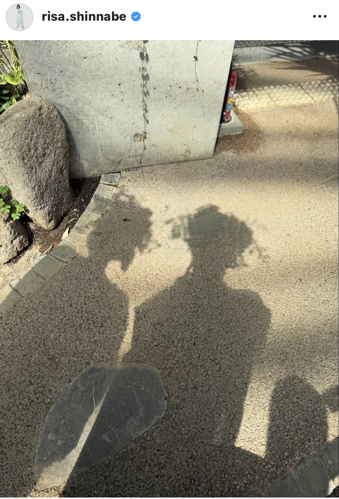 新鍋理沙さんのインスタグラムから