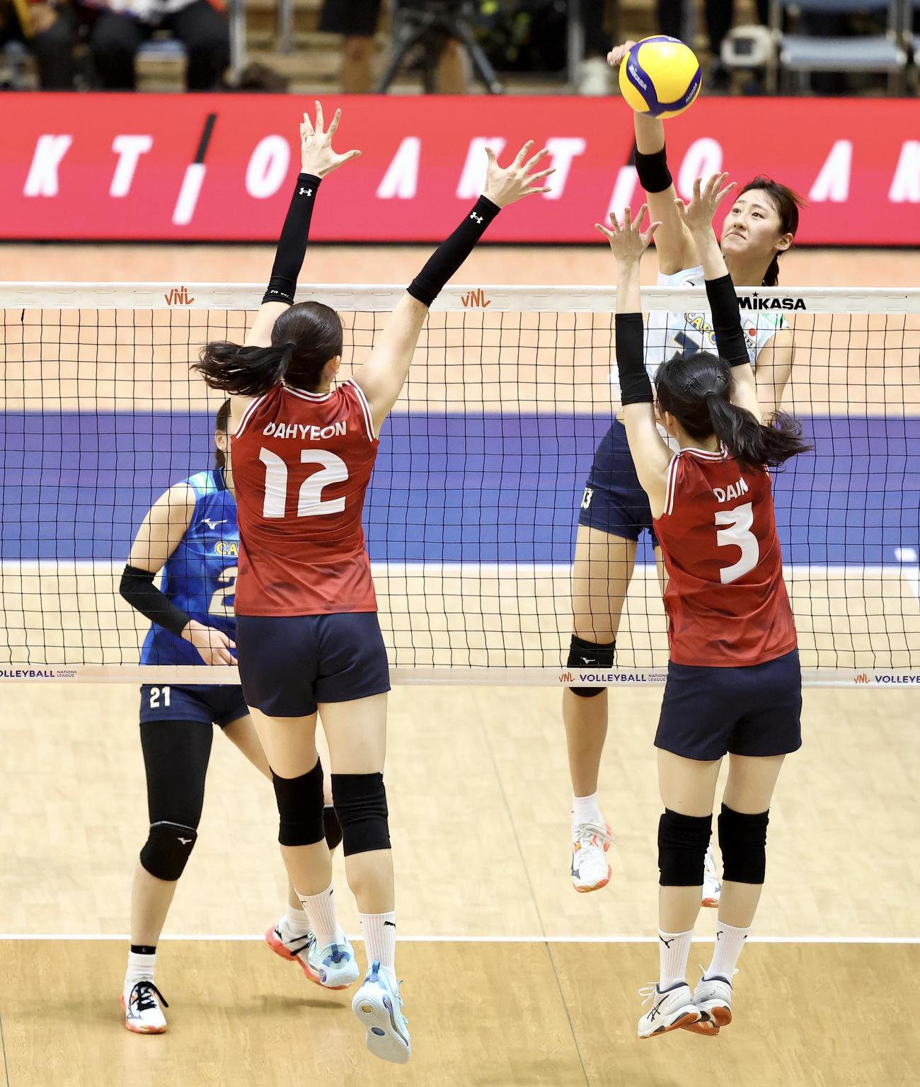 日本対韓国　第1セット、スパイクを放つ秋本（撮影・河田真司）