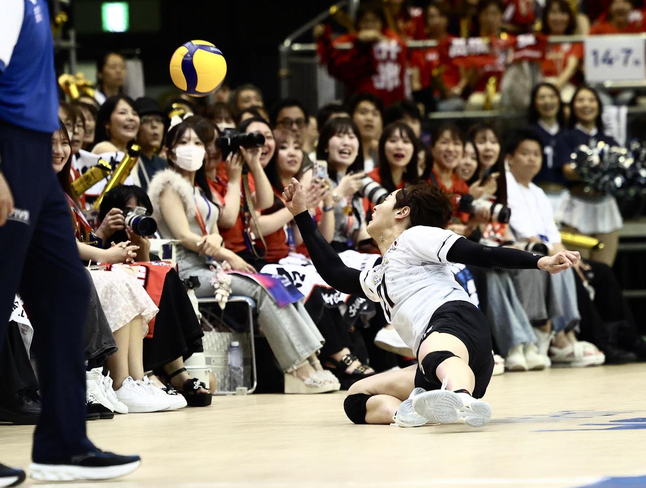 日本対アルゼンチン　第4セット、ボールを追う永露（撮影・河田真司）