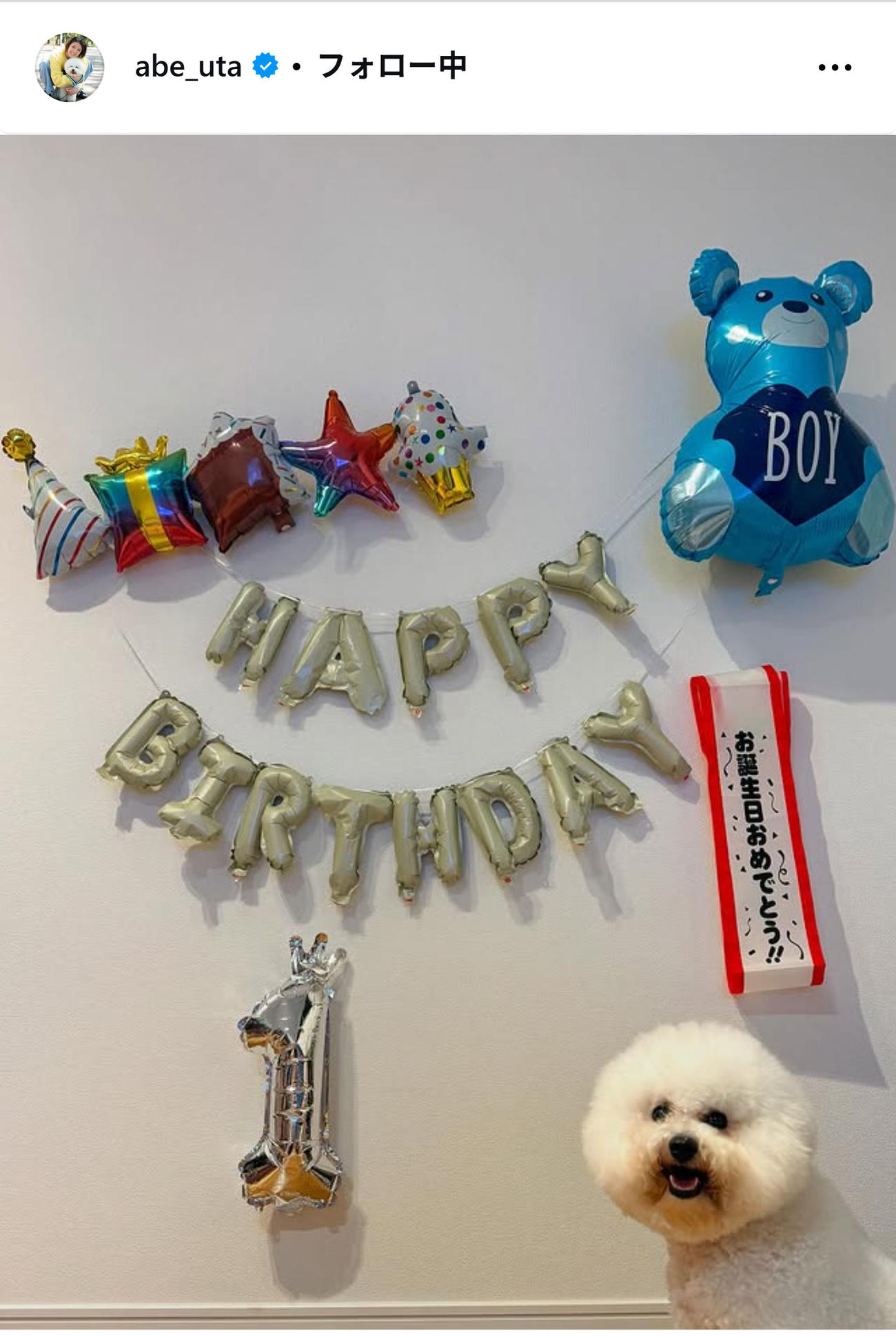 阿部詩が愛犬の誕生日にお祝いのメッセージを贈った（インスタグラムから）