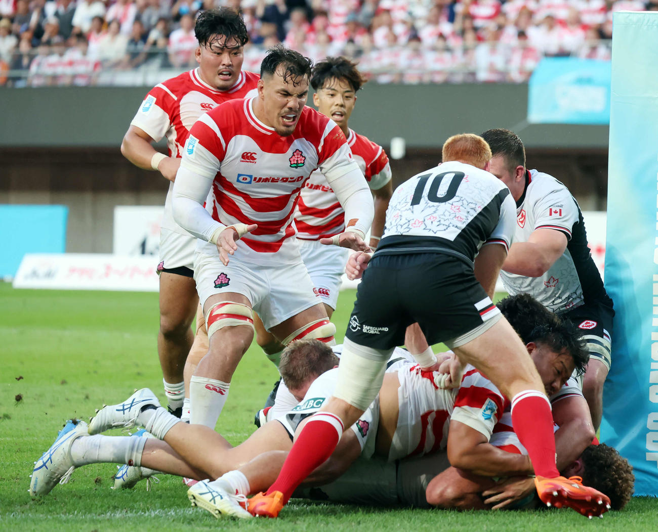 日本対カナダ　前半、ディアンズ（右下）がトライを決める（撮影・山本朝陽）