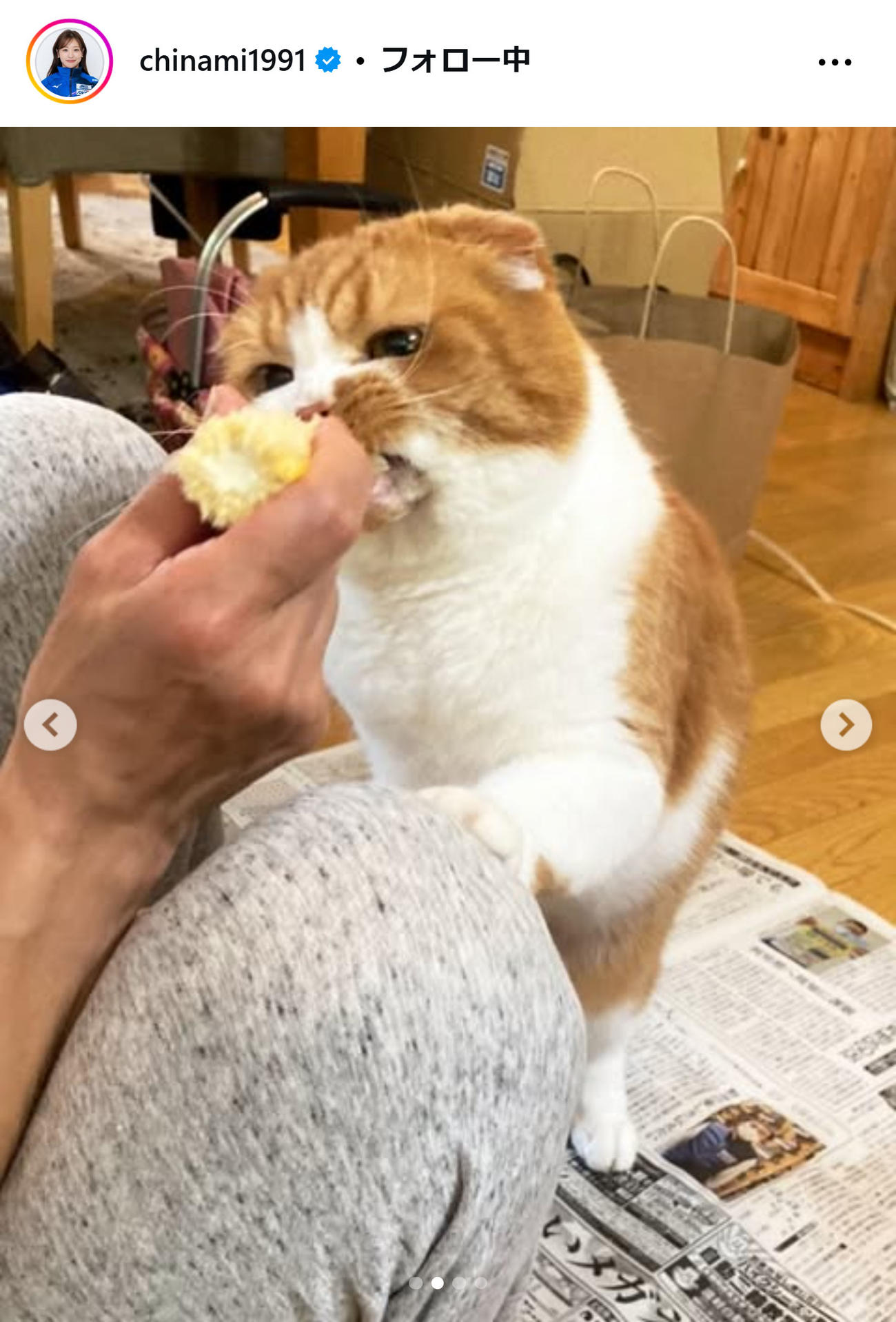 吉田知那美のインスタグラムから