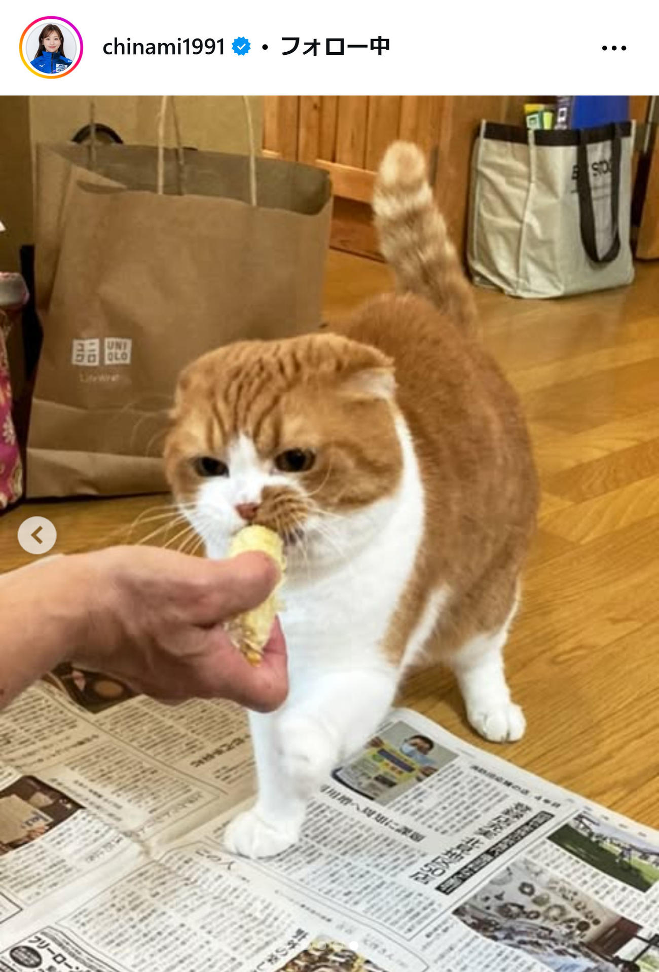 吉田知那美のインスタグラムから