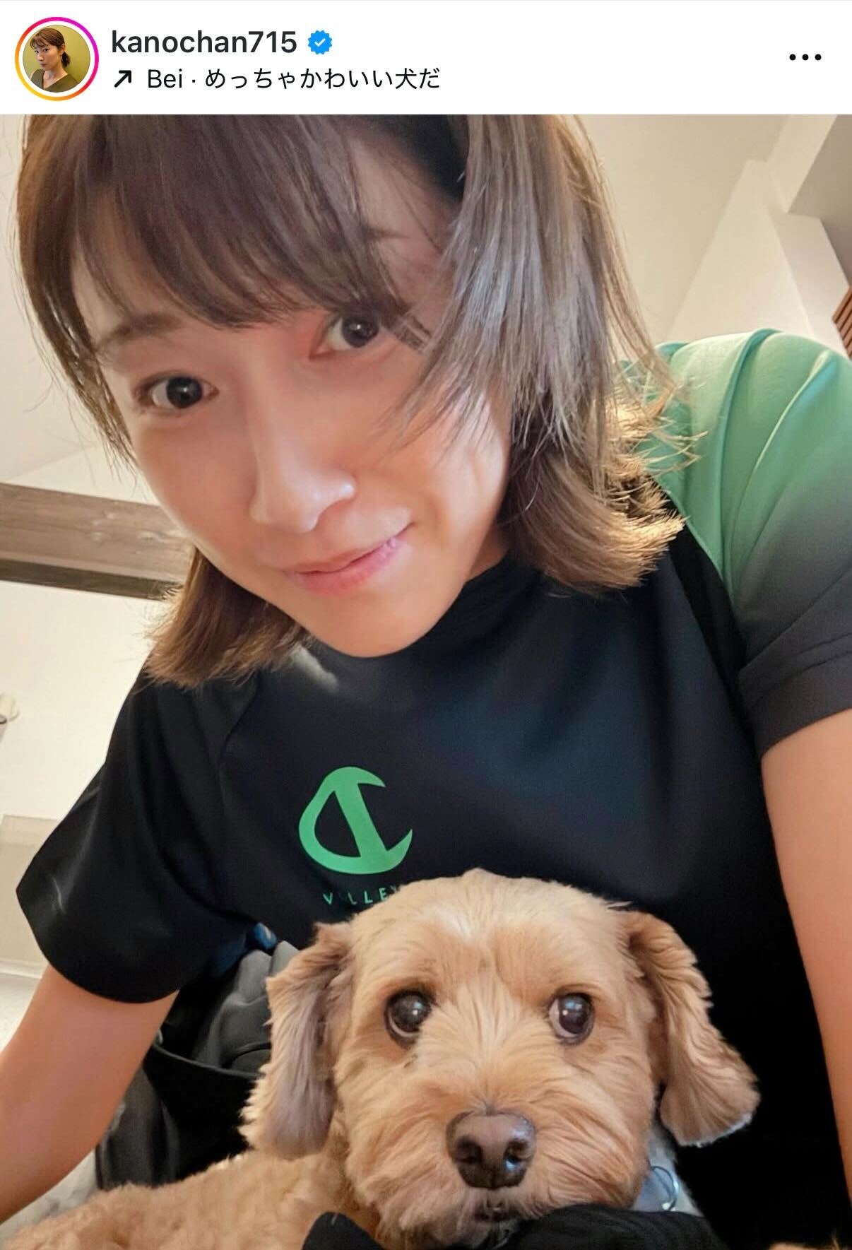 狩野舞子さんのインスタグラムから