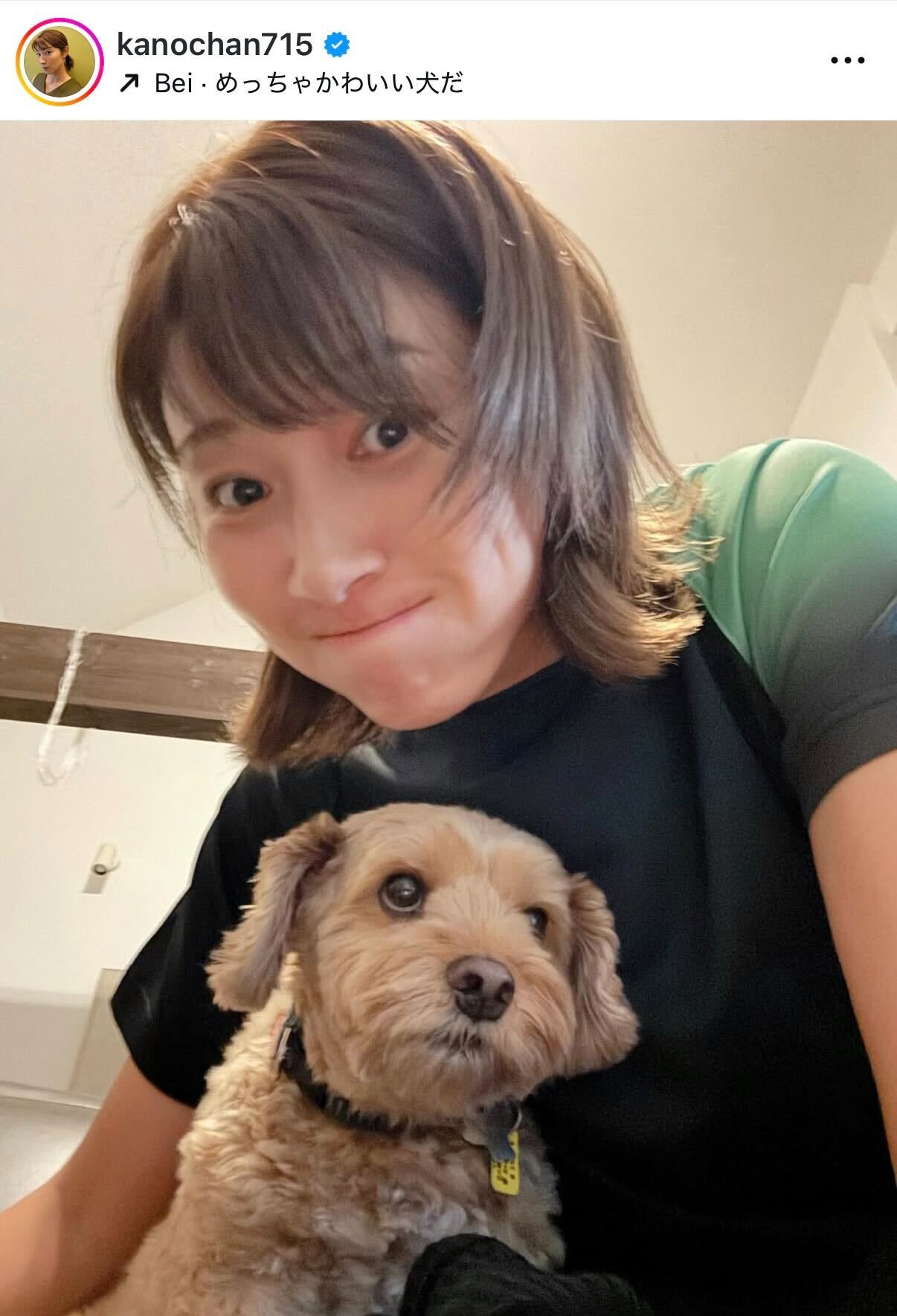 狩野舞子さんのインスタグラムから