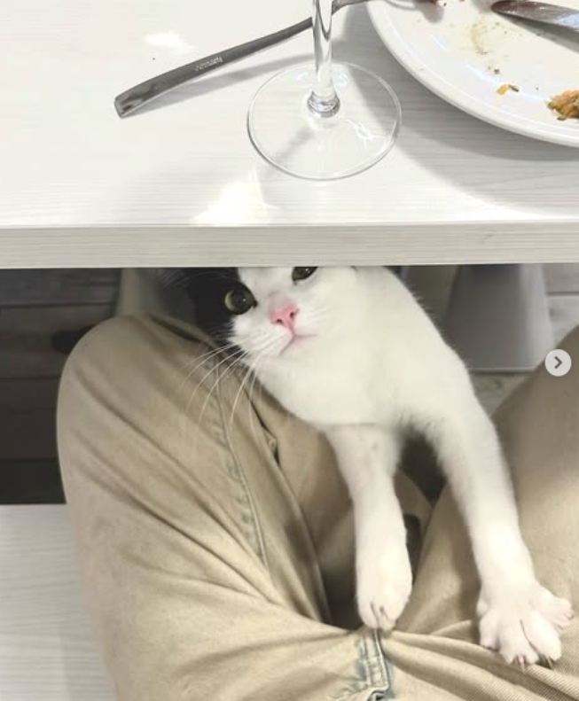 高梨沙羅のインスタグラムから