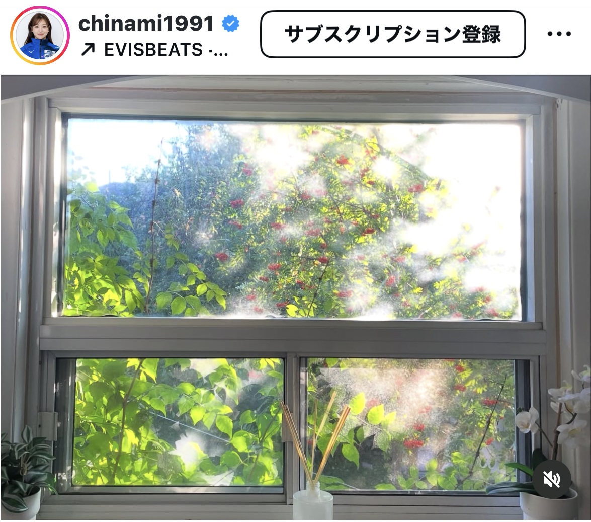 吉田知那美のインスタグラムから