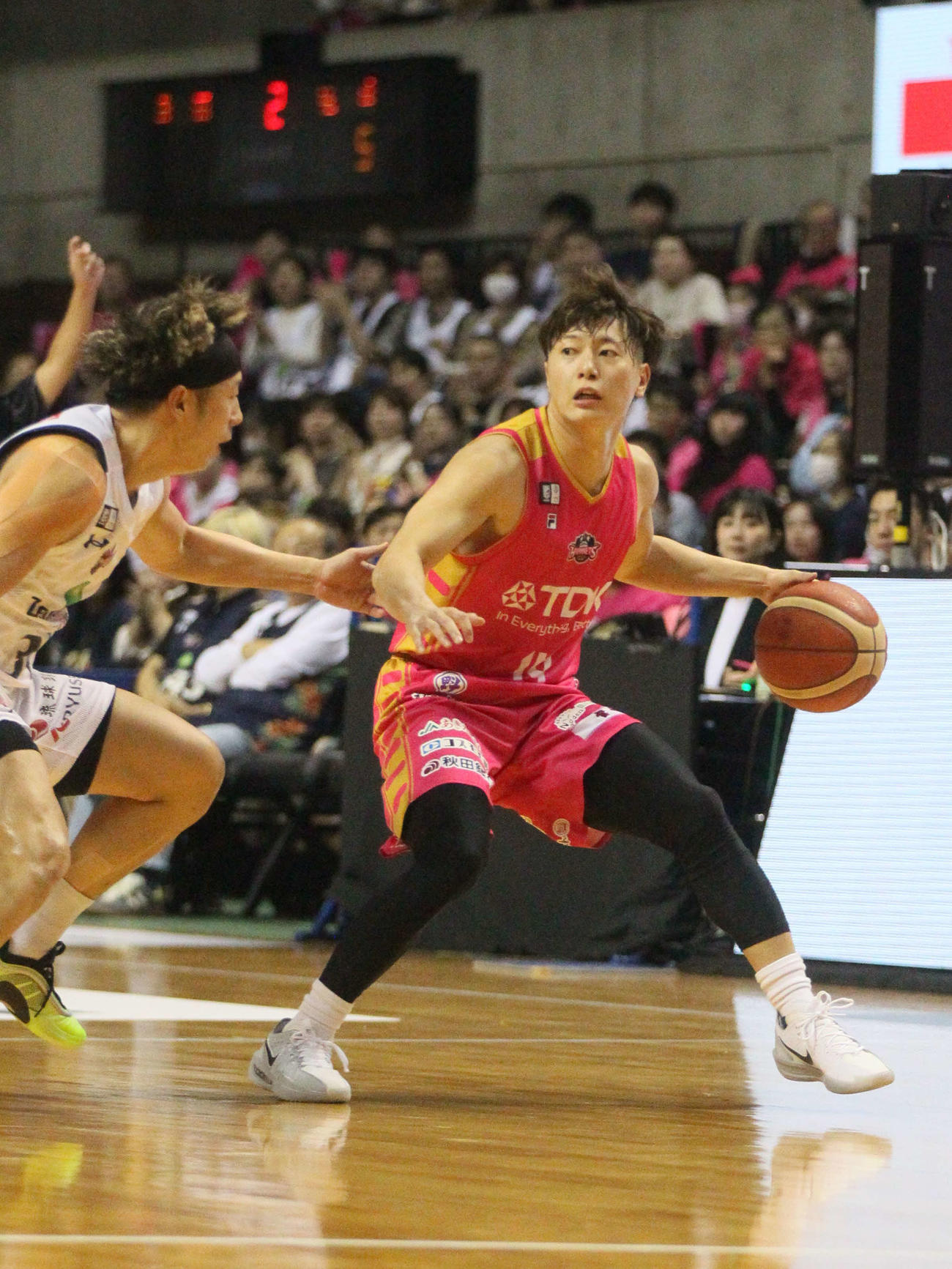 秋田対琉球　ドリブルをするB1秋田・菅原暉（撮影・高橋香奈）