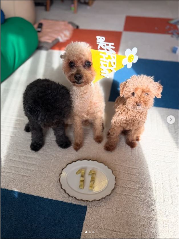 木村沙織さんのインスタグラムから