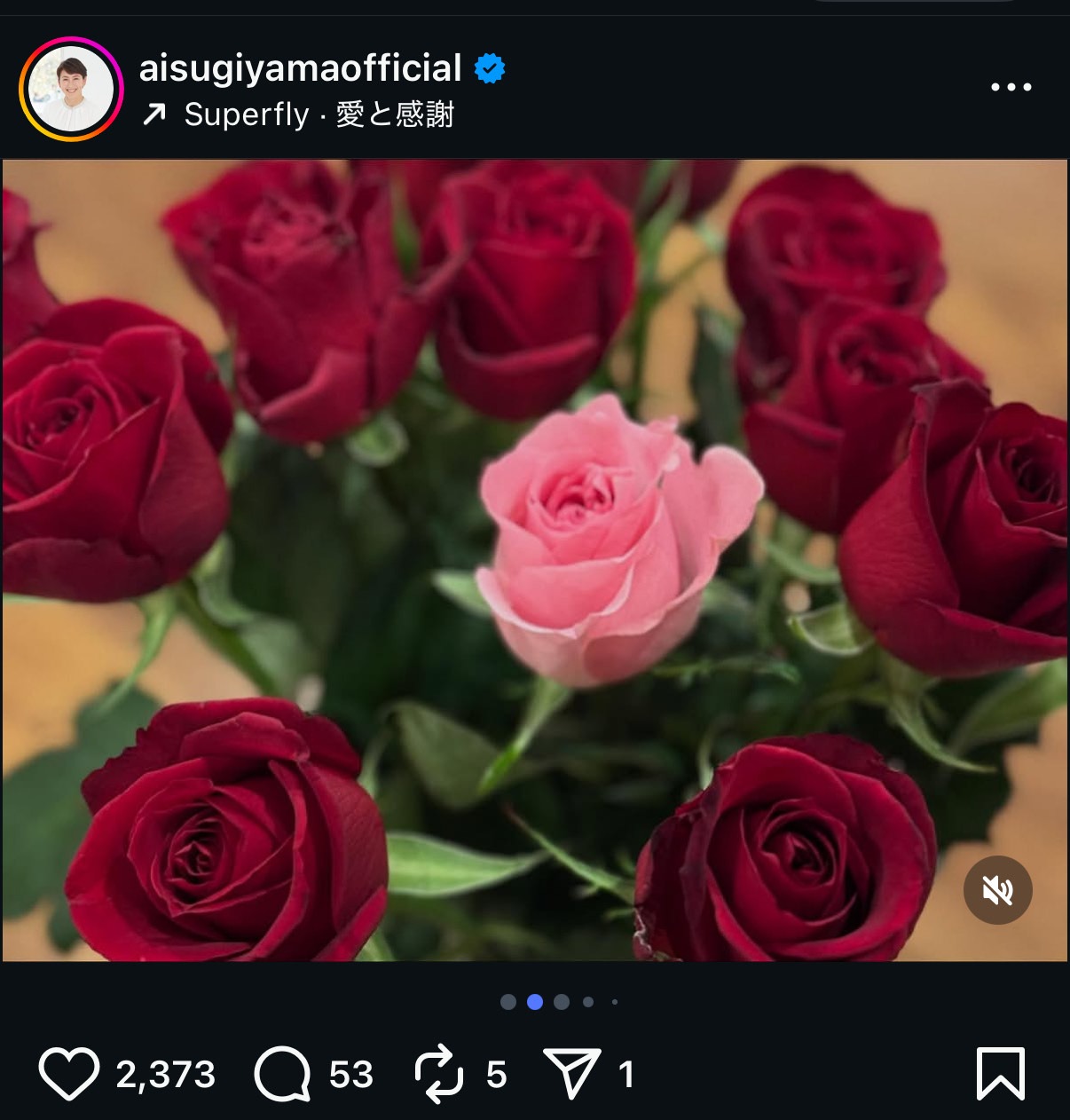 杉山愛さんのインスタグラムから