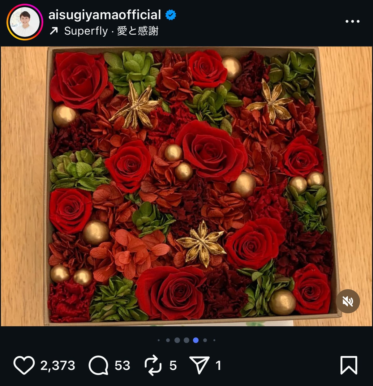 杉山愛さんのインスタグラムから