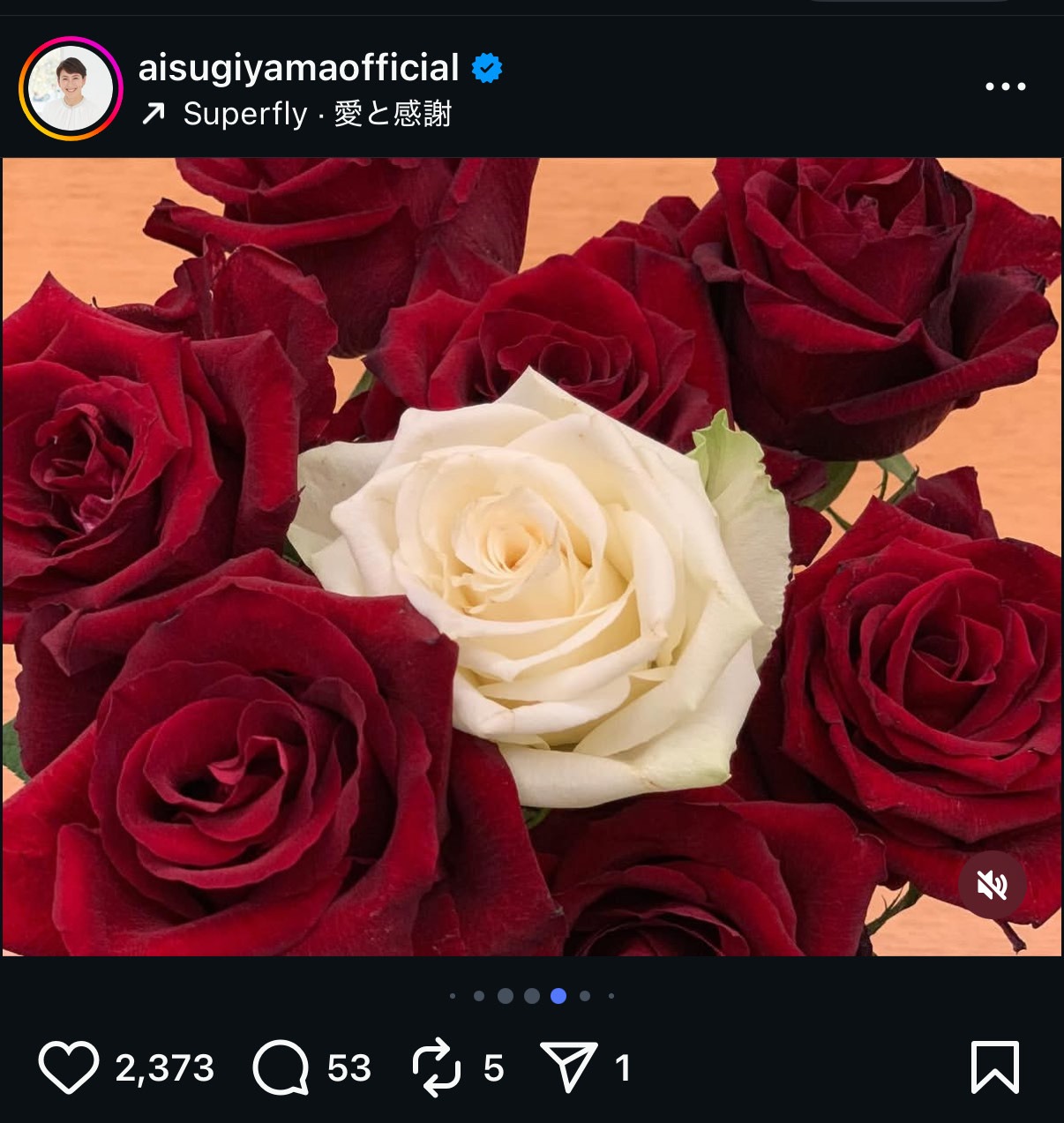 杉山愛さんのインスタグラムから