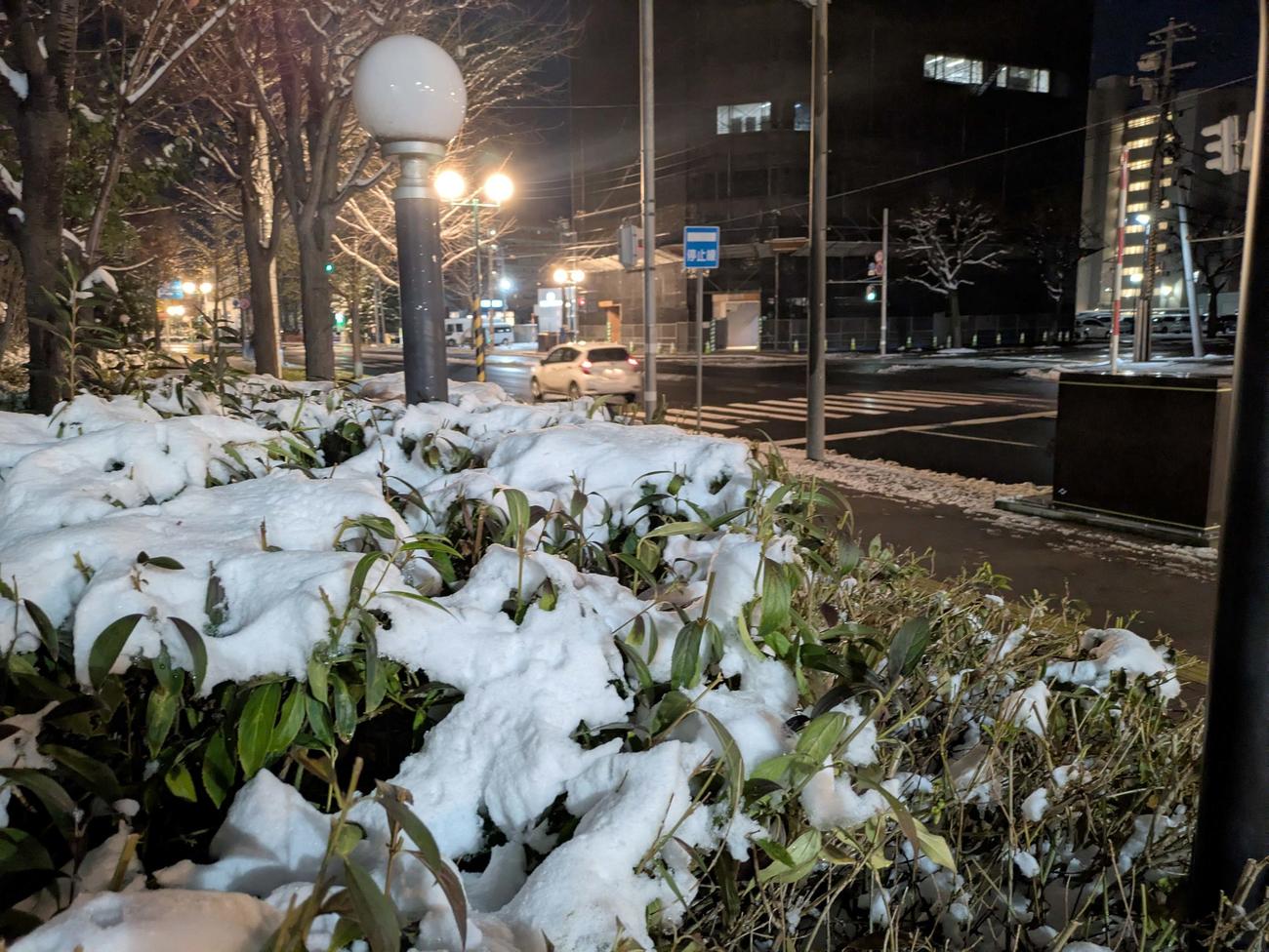 積雪のあった札幌市内中心部