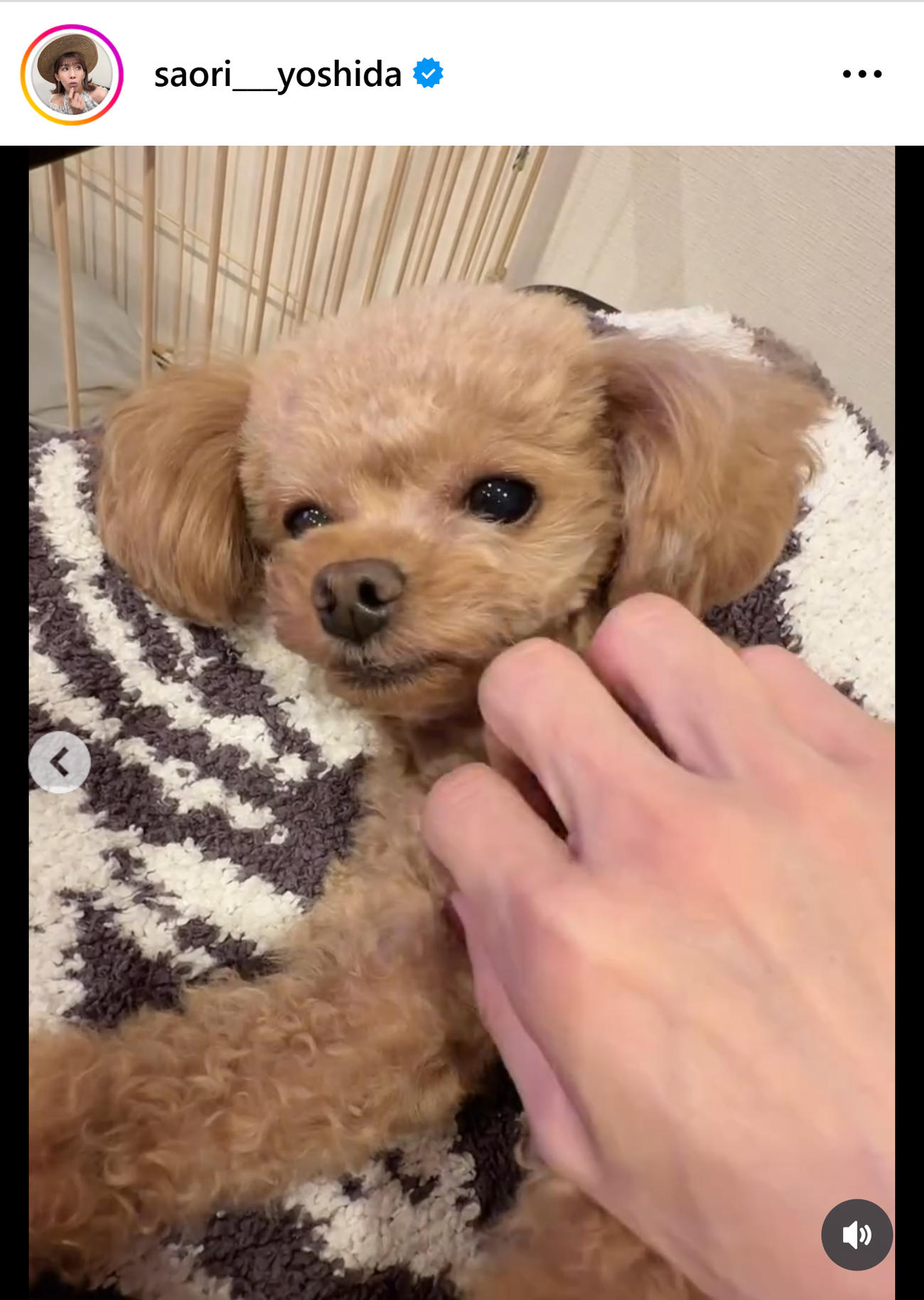 吉田沙保里さんのインスタグラムから