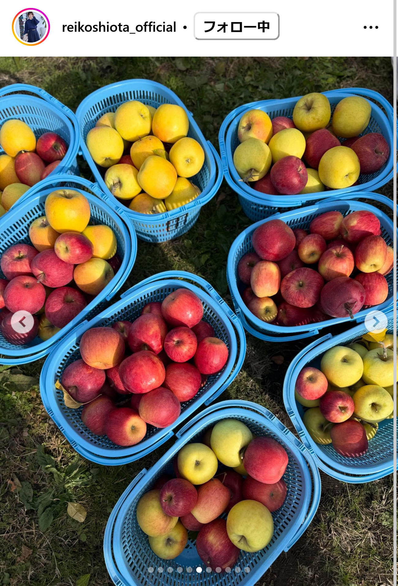 潮田玲子さんのインスタグラムから