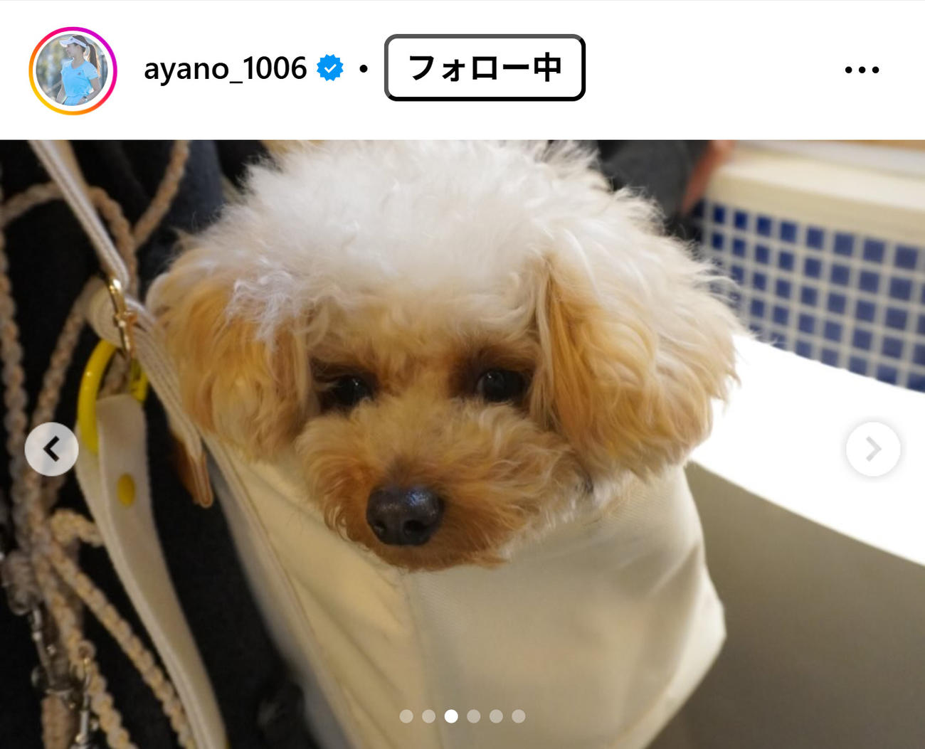 園田彩乃のインスタグラムから