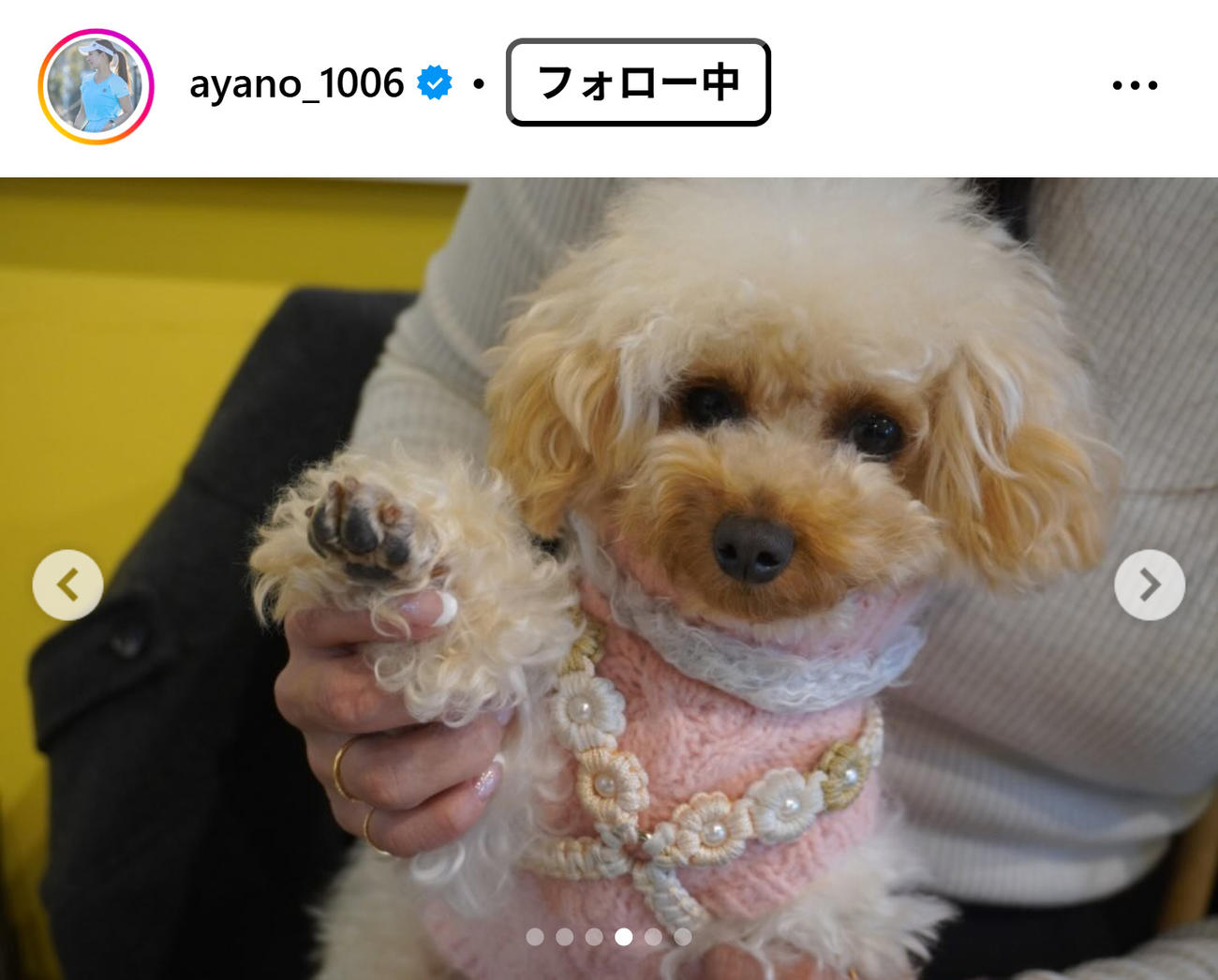 園田彩乃のインスタグラムから