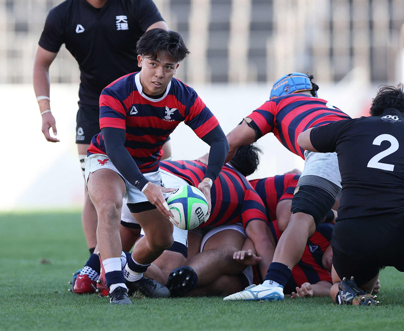 関西大学ラグビーAリーグ第7節　京産大対天理大　密集からボールを出すSH高木（撮影・上山淳一）