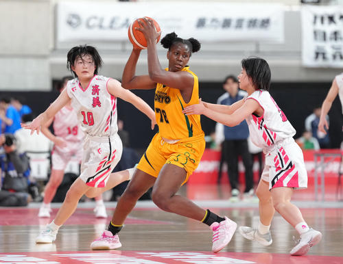 高校バスケ】福島東稜が34点差快勝で2回戦進出 第1Qに豪快ダンクなど 高校バスケ】福島東稜が34点差快勝で2回戦進出 第1Qに豪快ダンクなど