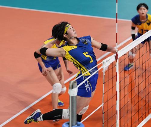 横浜隼人―氷上　第1セット、スパイクを放つ横浜隼人・石渡（共同）