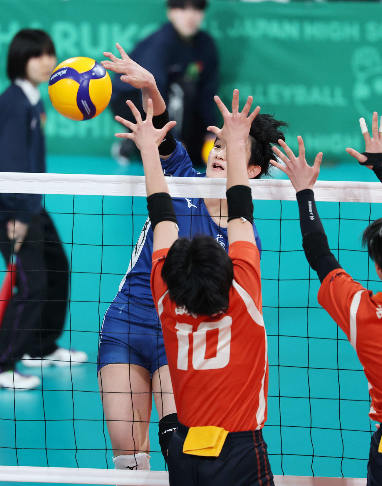 金蘭会対誠英　第1セット、スパイクを放つ金蘭会・馬場（撮影・鈴木正人）