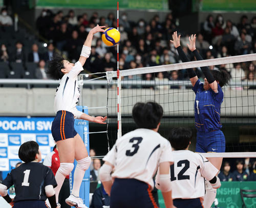 金蘭会対就実　第2セット、スパイクを放つ就実・石田（撮影・増田悦実）