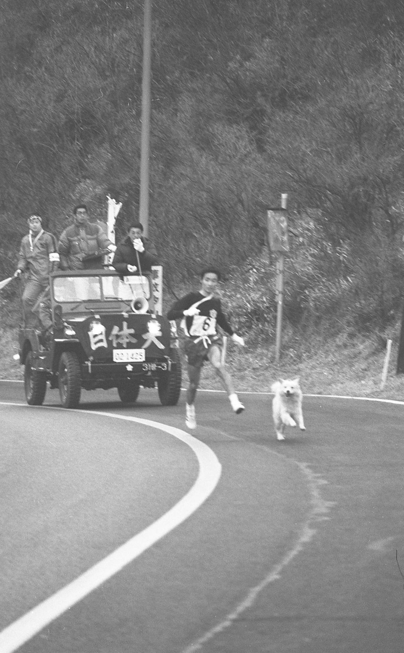 1977年1月3日　箱根駅伝　第53回東京箱根間往復大学駅伝　復路6区　2キロ地点から5キロまでトップを快走する日体大・塩塚秀夫（4年、区間新58分56秒）の脇をどこから来たのか白い犬が伴走？