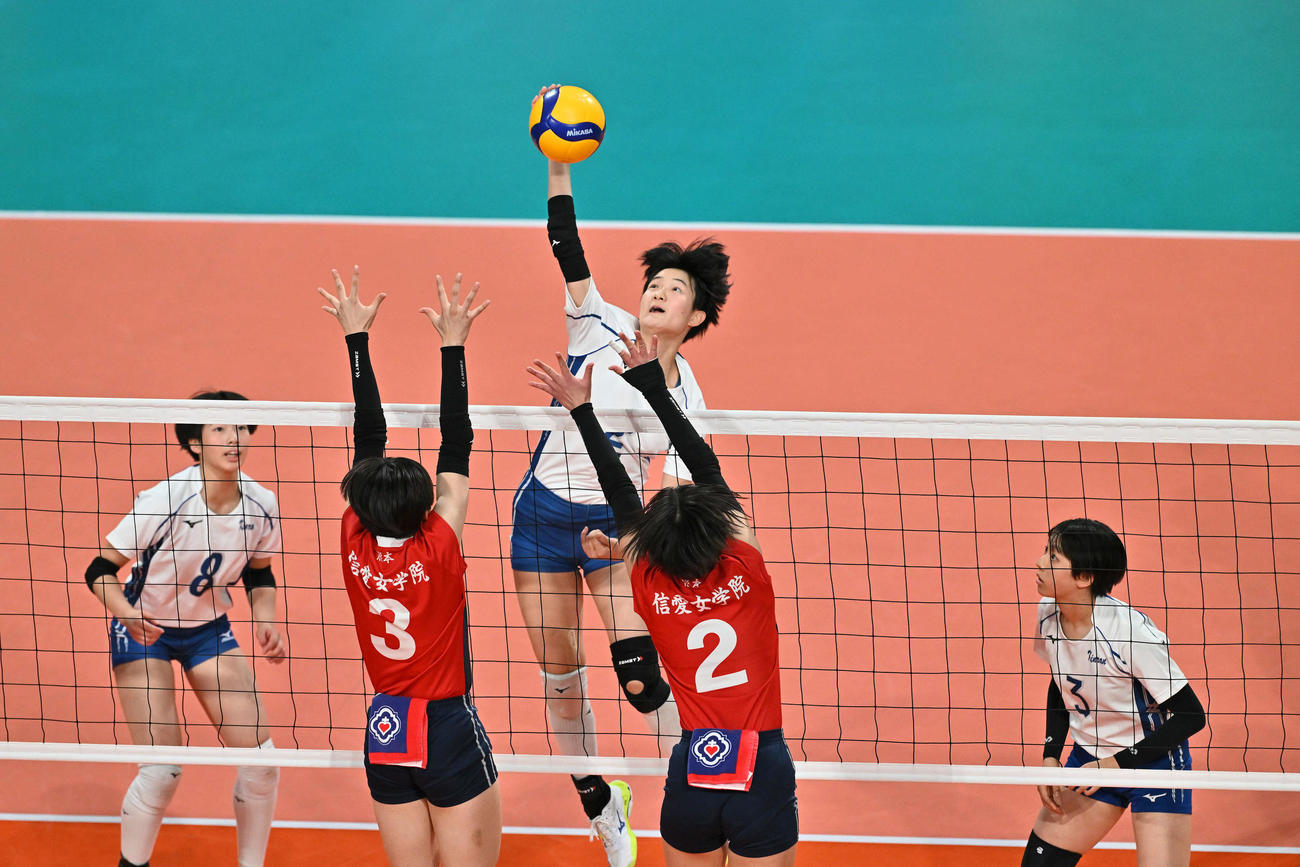金蘭会対熊本信愛女学院　第1セット、スパイクを放つ金蘭会・馬場（中央）（撮影・滝沢徹郎）