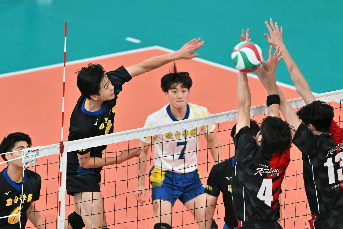 駿台学園対福井工大福井　第1セット、スパイクを放つ駿台学園・畠（撮影・滝沢徹郎）