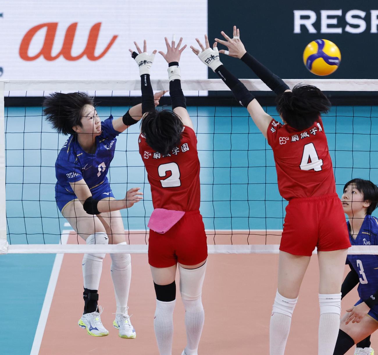 金蘭会対東九州龍谷　第2セット、スパイクを放つ金蘭会・吉田（左）（撮影・山本朝陽）