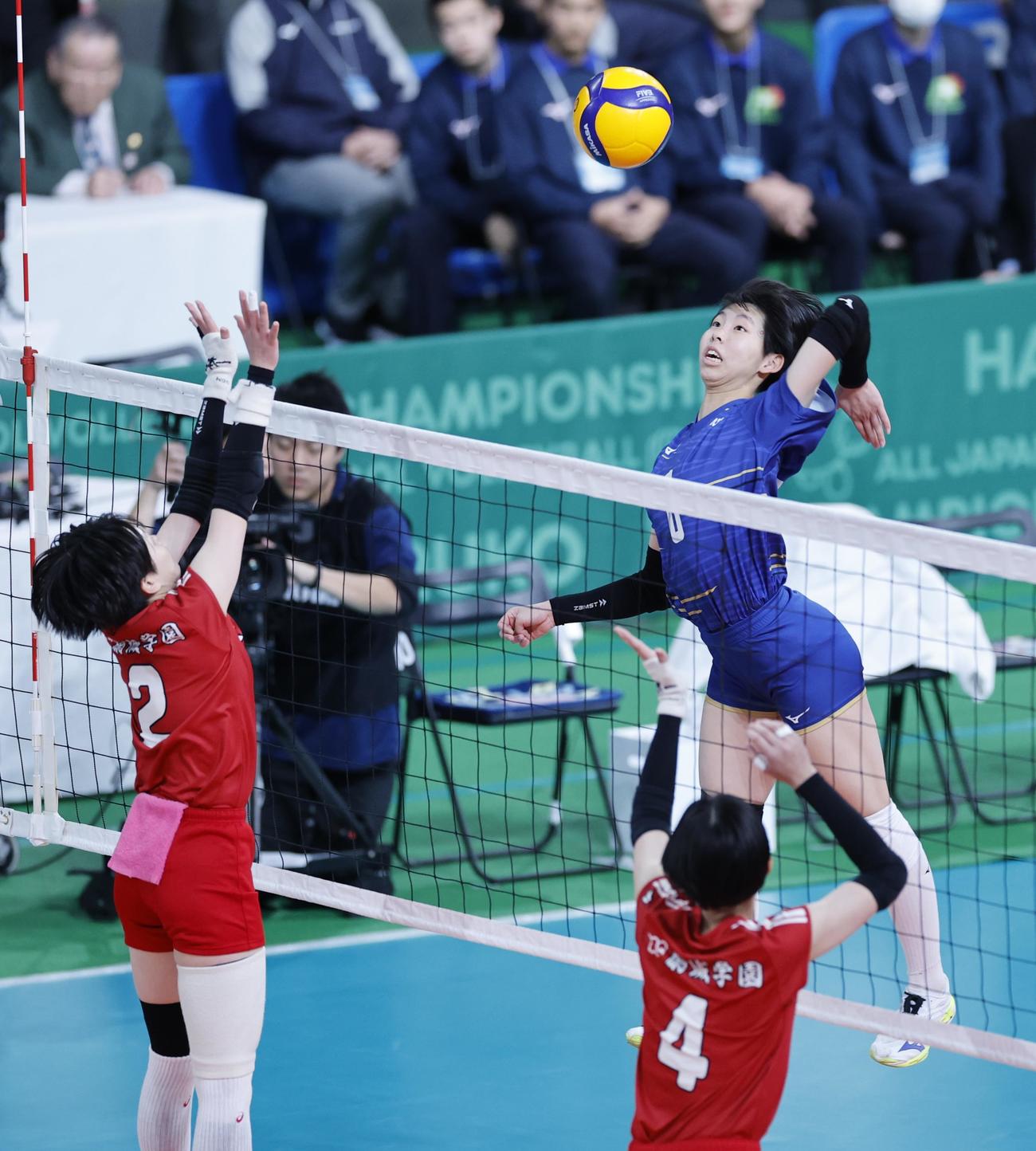 金蘭会対東九州龍谷　第1セット、スパイクを放つ金蘭会・石橋（右）（撮影・山本朝陽）